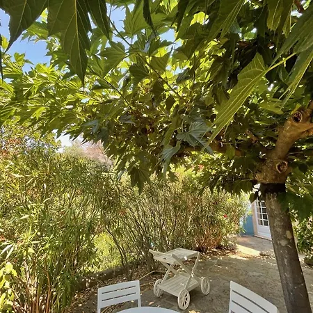Villa Mandarine * Rayol-Canadel-sur-Mer