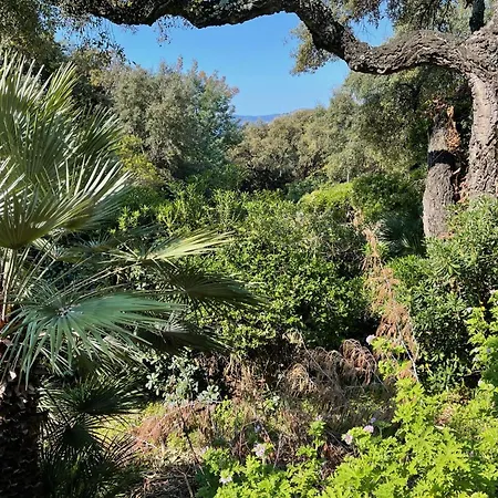 Villa Mandarine Villa *