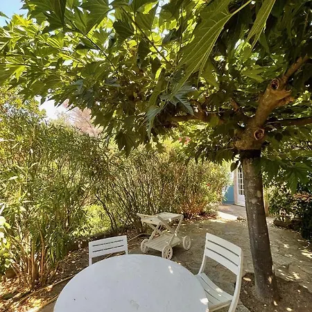 Villa Mandarine Villa *