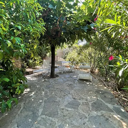 Villa Mandarine